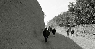 農地は高い土塀でかこまれていた