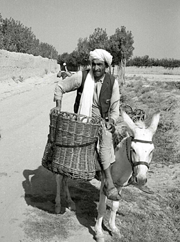 ロバと振分け籠