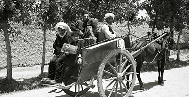 乗合は二輪の馬車２