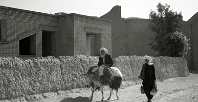 ロバが人や物を運ぶ