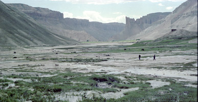 バンダ―ミール