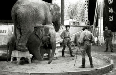 キグレサーカス 1958