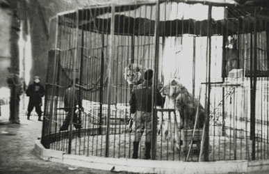 キグレサーカス 1958