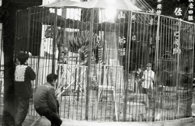 キグレサーカス 1958