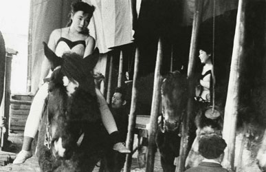 ゴールドサーカス 1958