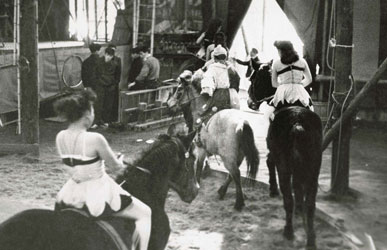 ゴールドサーカス 1958