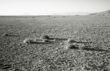 水の届かない村の土地