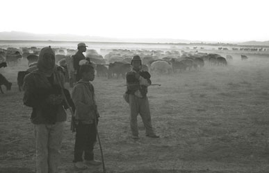 富農所有の羊と牧童