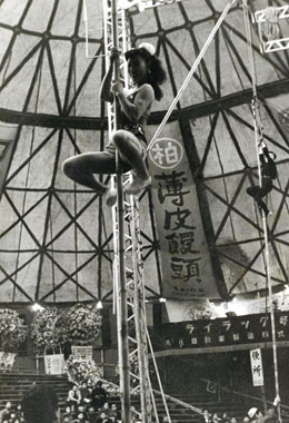 シバタサーカス  1958
