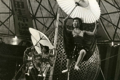 シバタサーカス  1958