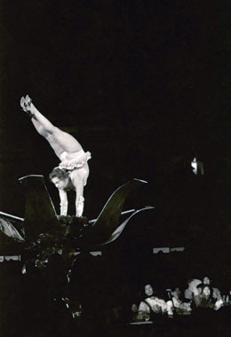 チェコサーカス 1959