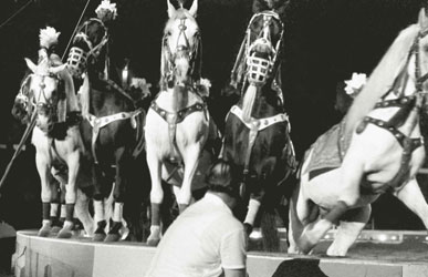 チェコサーカス 1959