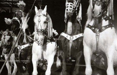 チェコサーカス 1959