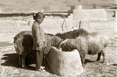 農家の前庭に設置された家畜の餌場の画像