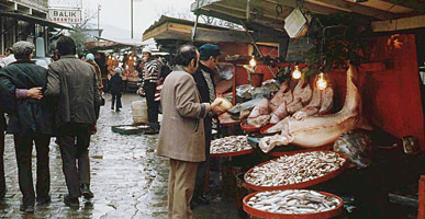 黒海に近いサルイェルの魚市場