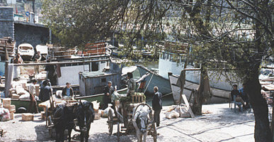 ボスポラス海峡沿いの町(アジア側）
