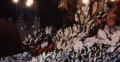 市場通りの魚屋