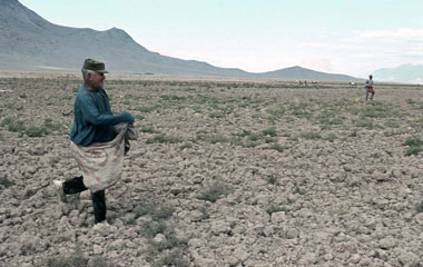 種まき(耕地は土塊でゴロゴロしている)