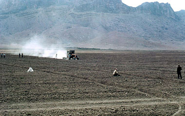 トラクターによる畦立て作業　