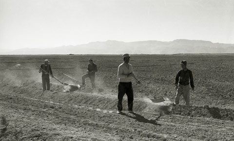 コローによる畦立て作業