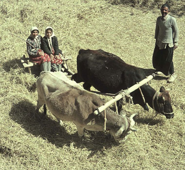 〈ボレ〉とボレによる作業