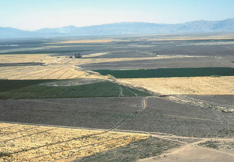 耕地の遠景（耕起地・小麦の刈跡地・綿作地の各耕区）