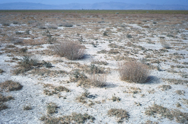 マルヴダシト地方の非農業地帯の景観の画像