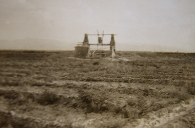 ヘイラーバード村の畜力井戸（1960年頃）の画像