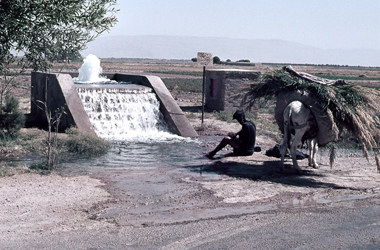 農民が設置したポンプ揚水井戸の画像