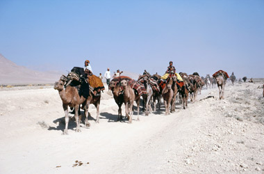 オアシスの谷平野を横切る遊牧民の隊列の画像