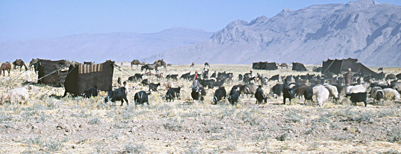 村の小麦刈跡地での宿営