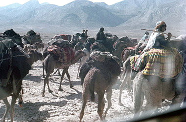 ファラシバンドへの途中で遊牧民の隊列を追い越す